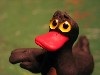 Why Did the Duck Cross the Road?